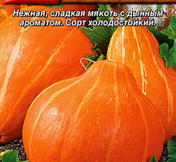 Тыква крупноплодная Россиянка