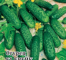 Огурец Брейк F1