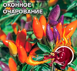 Перец острый Оконное очарование