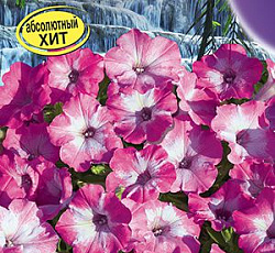 Петуния Водопадия мраморная F1 (многоцветковая)