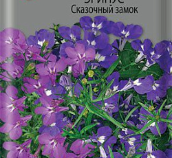 Лобелия Эринус Сказочный замок