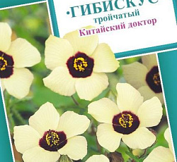 Гибискус тройчатый Китайский доктор