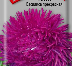 Астра Василиса Прекрасная