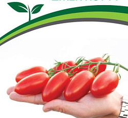 Томат Джек Пот F1