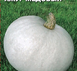 Тыква Ажур медовый F1