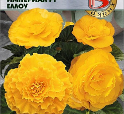 Бегония клубневая Империал F1 Еллоу