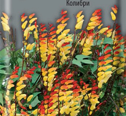 Мина лопастная Колибри