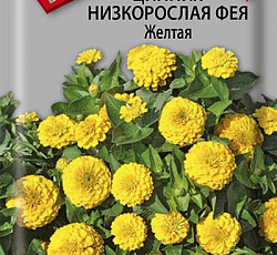 Цинния низкорослая Фея Желтая