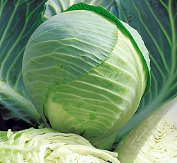 Капуста белокочанная Килатон F1
