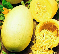 Тыква Спагетти