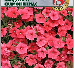 Петуния каскадная Пандора Салмон Шейдс F1