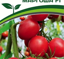Томат Маргоша F1