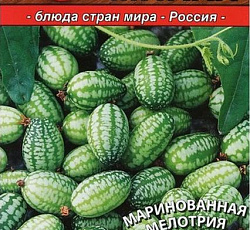 Мелотрия (Мышиная дыня) Микки
