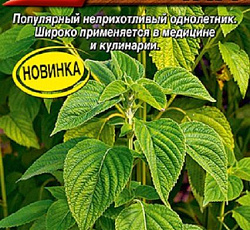 Шалфей испанский Чиа