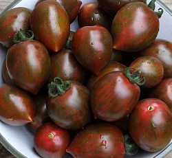 Томат Монисто шоколадное