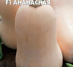 Тыква Ананасная F1