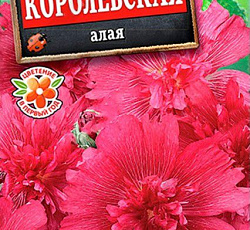 Шток-роза Королевская Алая