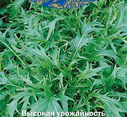 Капуста японская Изумрудный узор