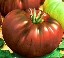 Томат Черный барон