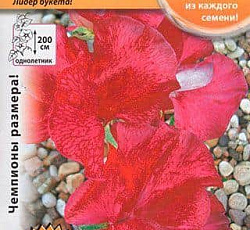 Душистый горошек Малиново-красный Русский размер