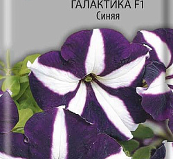 Петуния грандифлора Галактика Синяя F1
