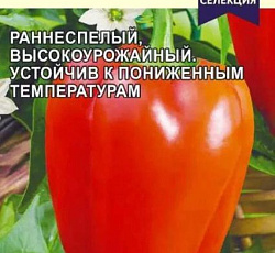 Перец сладкий Фельдмаршал