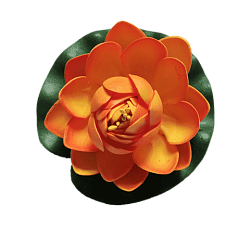 Лилия водоплавающая Оранжевая d-10см