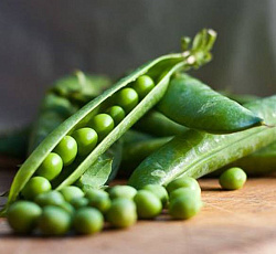 Горох Глориоза