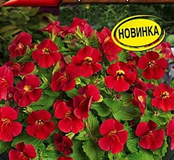 Мимулюс Медиус Карминно-красный F1