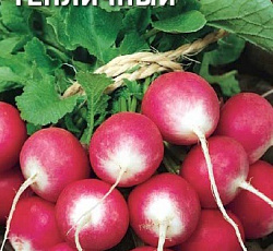 Редис Тепличный