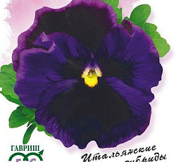 Виола Фламенко синяя F1