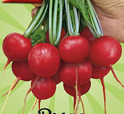 Редис Суперстар