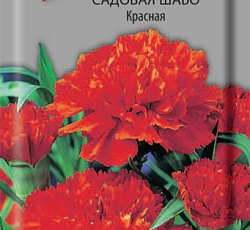 Гвоздика садовая Шабо Красная