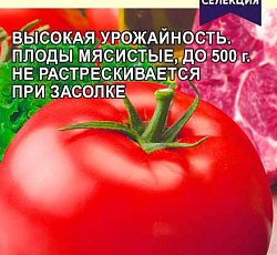 Томат Йетина мать