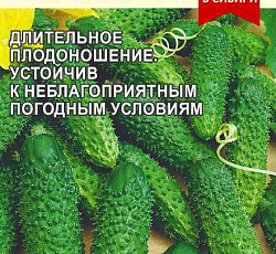 Огурец Вятский F1