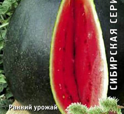 Арбуз Сибирские огни семена - низкая цена, описание, отзывы, продажа
