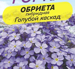 Обриета Голубой каскад (гибридная)