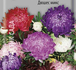 Астра Пионовидная Дюшес микс
