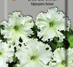 Петуния бахромчатая Афродита белая
