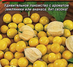 Физалис Вкусная забава