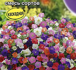 Петуния Джоконда мини F1 (смесь сортов)