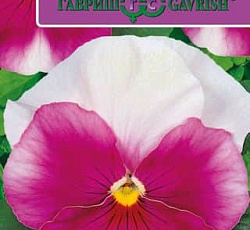 Виола Виттрока Маячок розовый F1