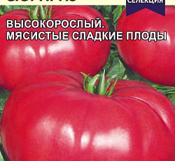 Томат Андреевский сюрприз