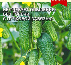 Огурец Селедочка F1