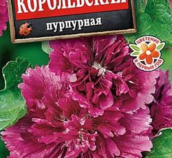 Шток-роза Королевская Пурпурная