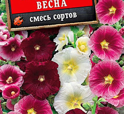 Шток-роза Индийская весна (смесь сортов)