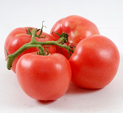 Томат Сестра F1