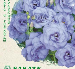 Эустома (лизиантус) Эхо лавандовая F1