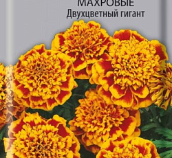 Бархатцы отклоненные махровые Двухцветный гигант