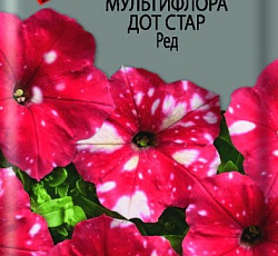 Петуния мультифлора Дот Стар Ред